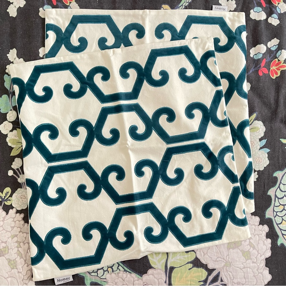 Decorative Pillow Cases (2)